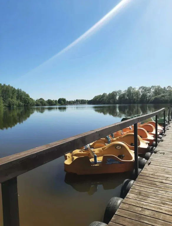 Коттедж Частный дом Art house с камином, купелью и баней — Шишкино