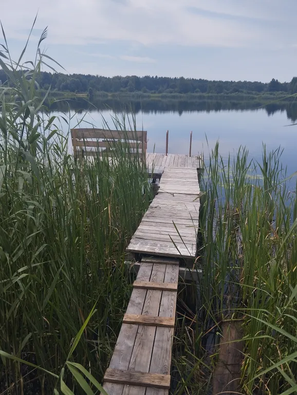 Дом-баня у реки