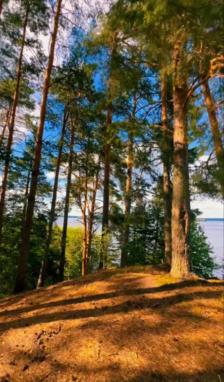 Коттедж Уютный дом на берегу озера Волго — Казаково