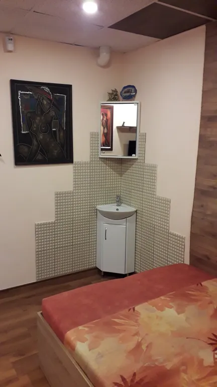 Уютная, квартира-студия, с отдельным входом, в центре города