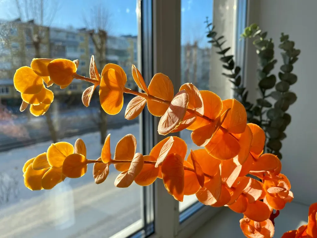 Уютная квартира в центре города рядом с Севмашем