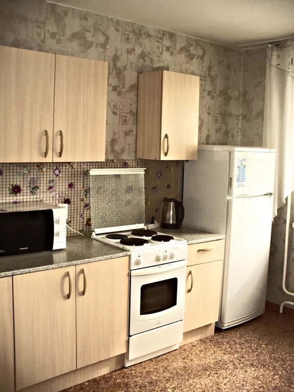 Двухкомнатные апартаменты в деловом центре города