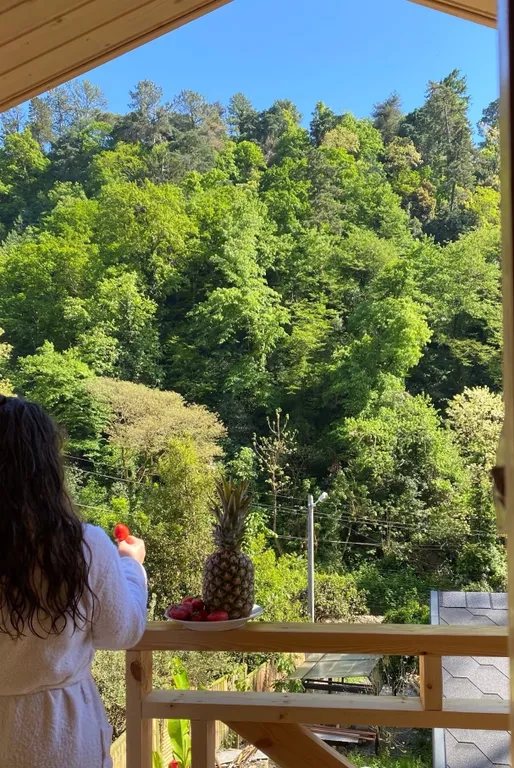 Квартира Комната — аренда посуточно в Сухум