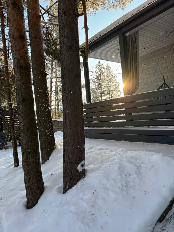 Уютный дом, баня на дровах, банный чан в сосновом бору Петрозаводска