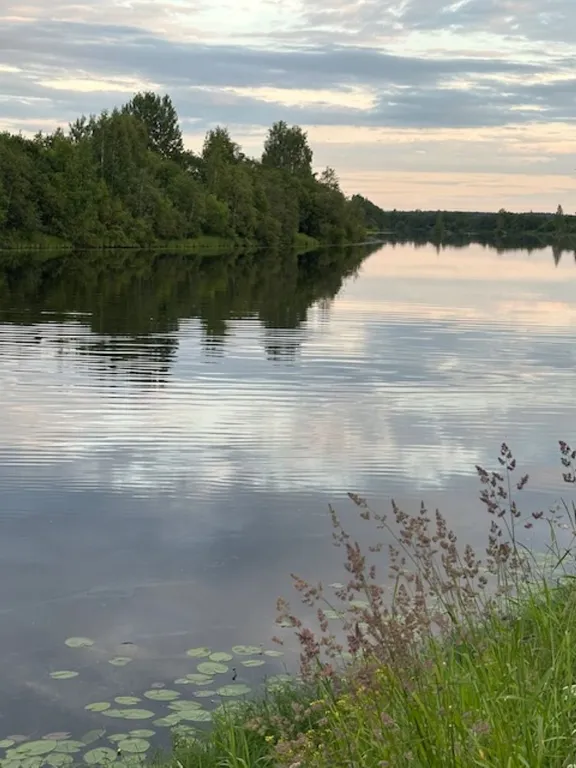 Коттедж Дом у реки с русской баней на дровах — Верховье