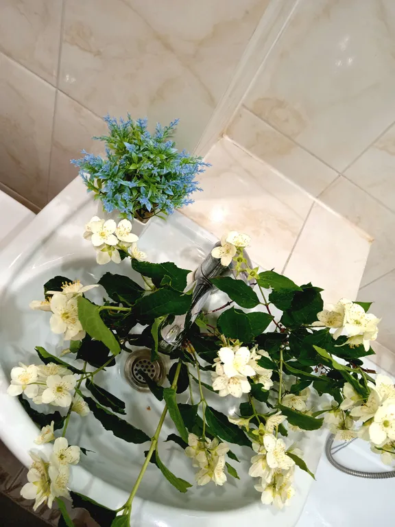 Светлая Нежнятина в старом центре города