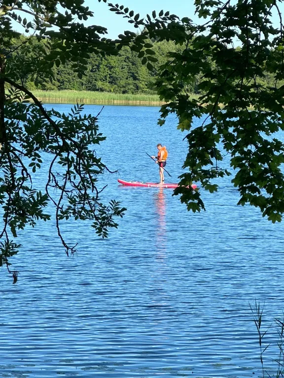 В большом доме 1/2 часть первого этажа