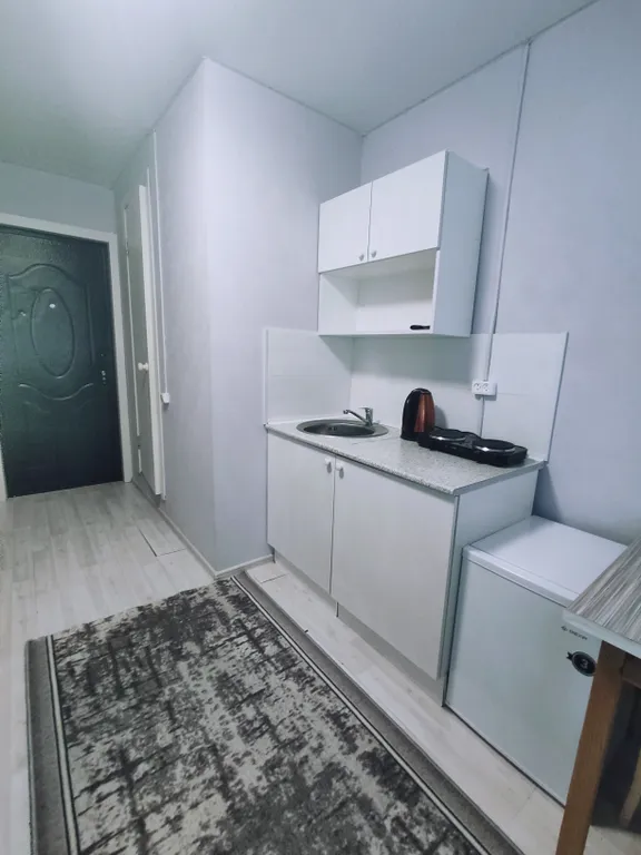 Уютная студия в центре рядом с ТЦ Галерея Чижова и цирком