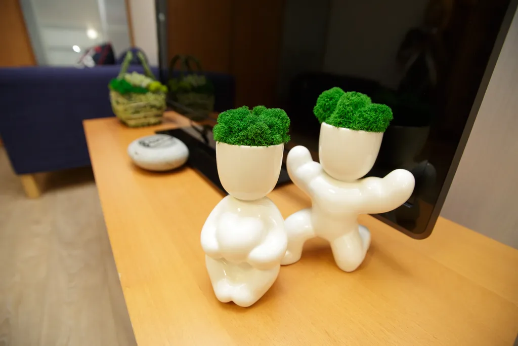 ДзенХоум Умиротворение