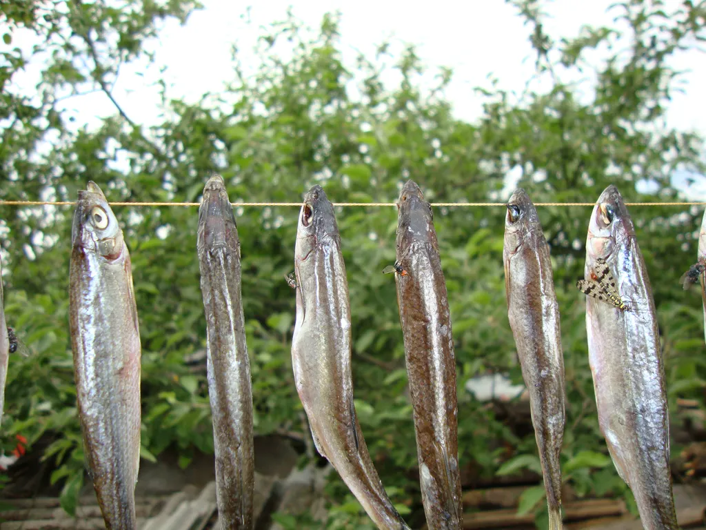 Благоустроенный домик с камином и лоджией на Селигере