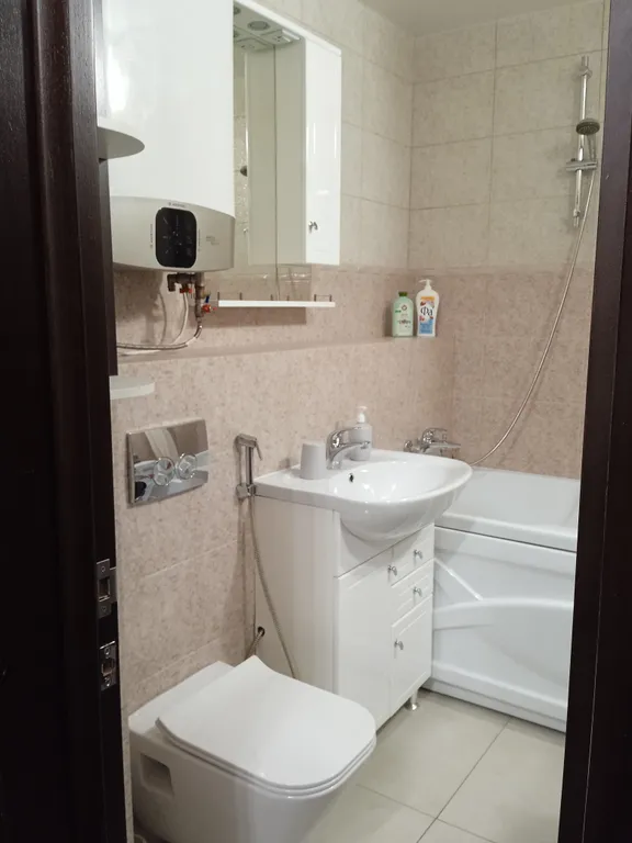 Квартира 1-комнатная квартира с кухней-гостинной в центре города — Ярославль