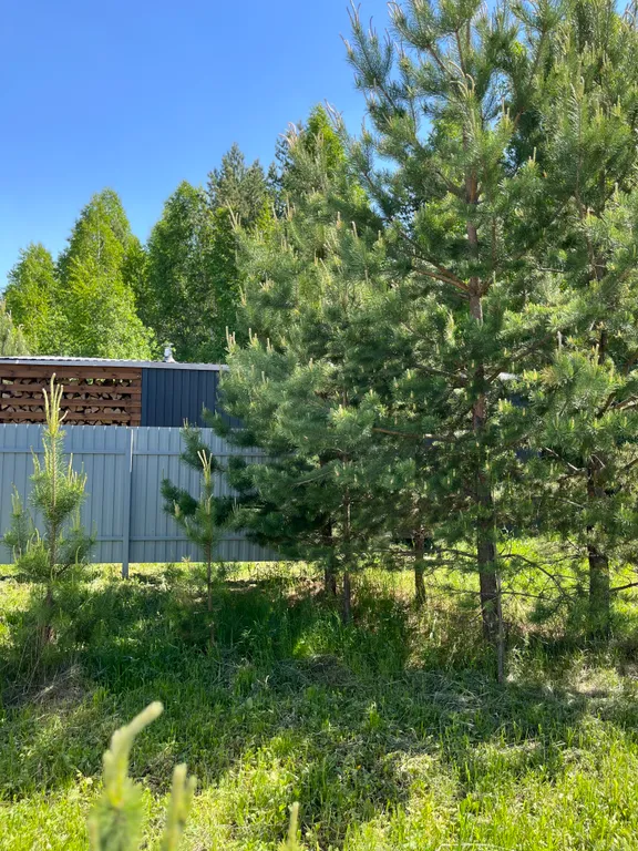 Уютный дом в лесу