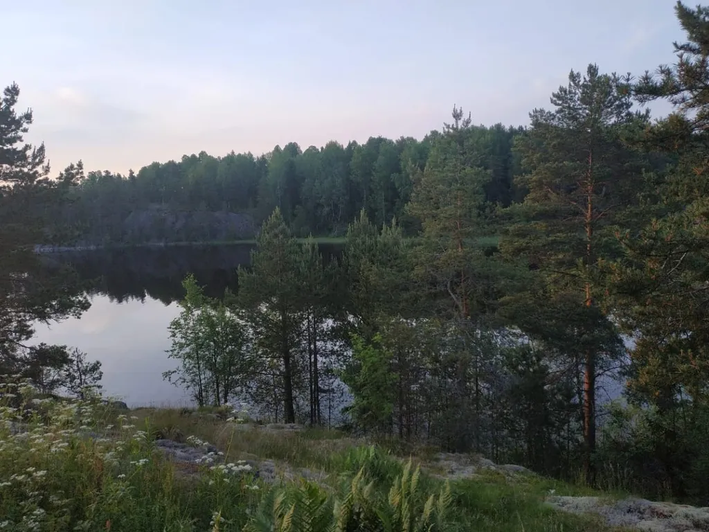 Дом на берегу ладожского озера, в живописном месте