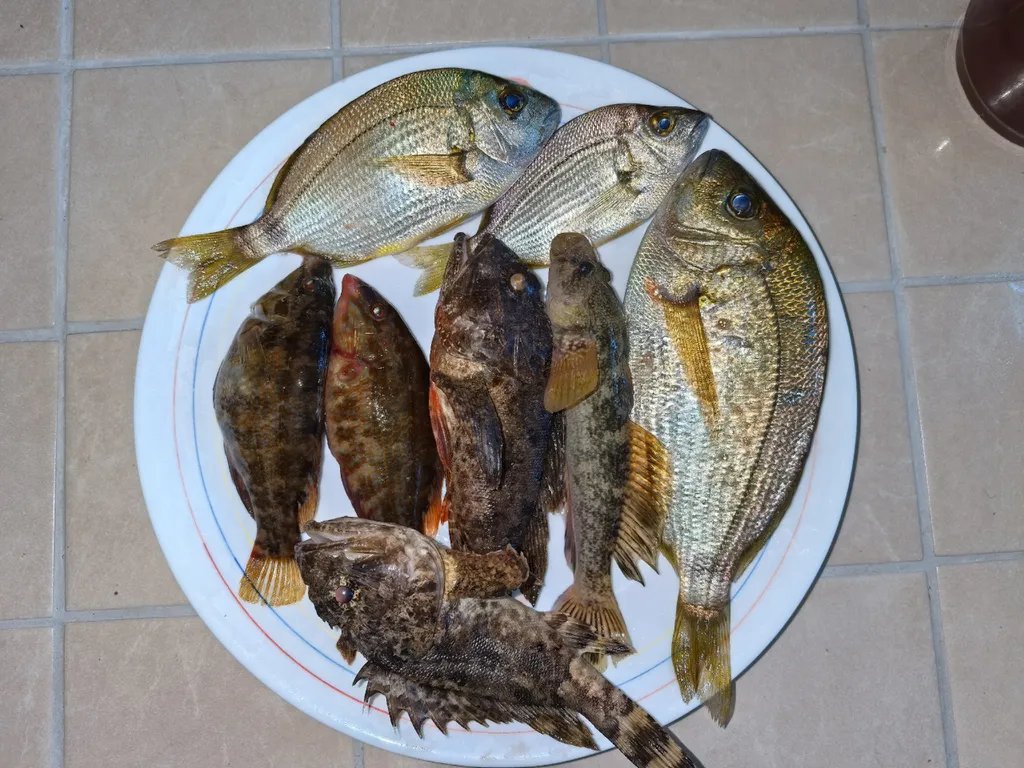 Дом с видом на горы