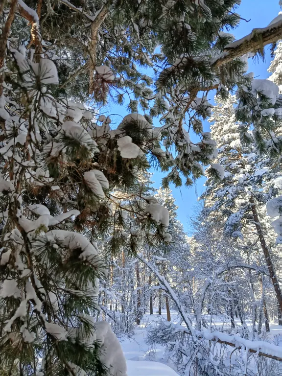 Коттедж Коттедж Лес хрустальной песни — Архыз