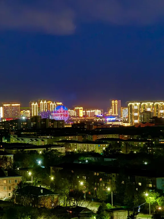 Уютная квартира в центре города с видом на Китай — аренда посуточно в Благовещенск
