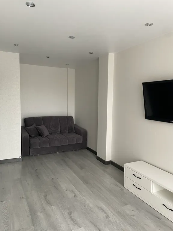 Уютная современная квартира рядом с рекой великая