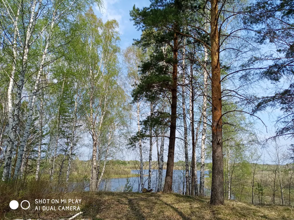 Уютный домик с огромным участком на природе у озера