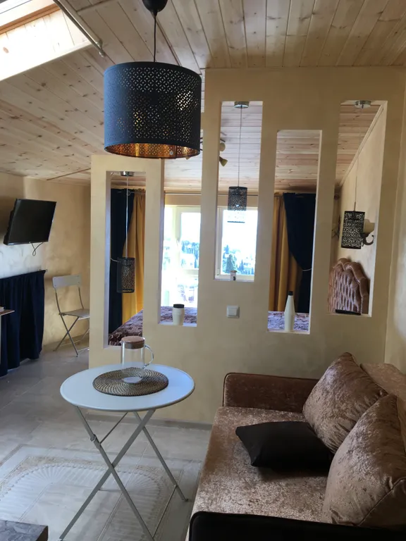 Видовая студия на мансарде под горой Кошка