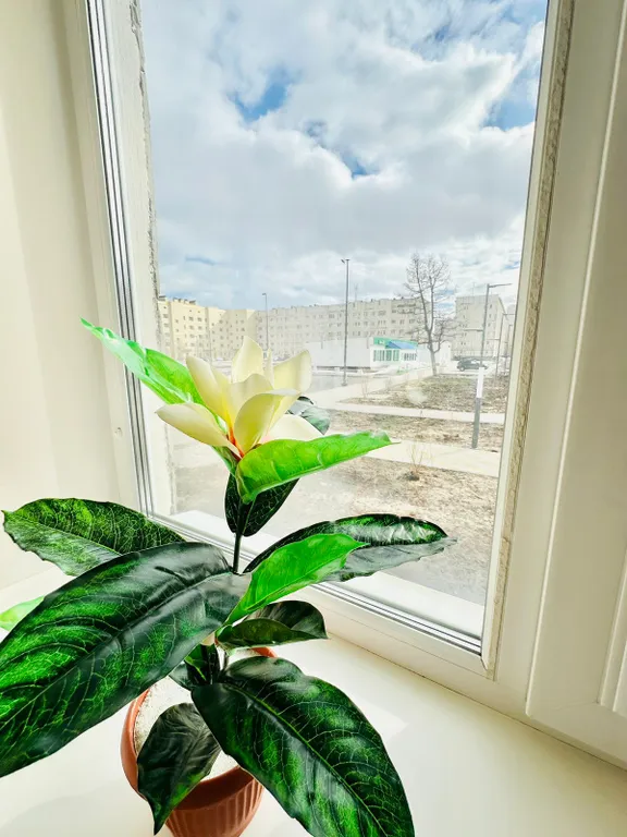 2-комнатная Квартира