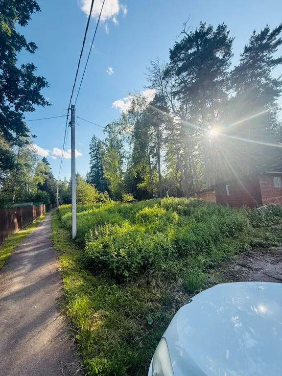 Дом Сказка в лесу