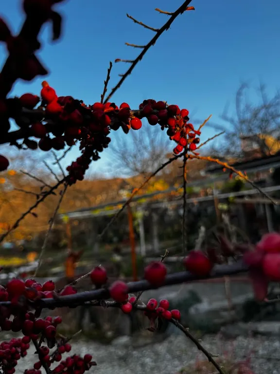 Коттедж Уютный дизайнерский дом с мангалом — Кисловодск