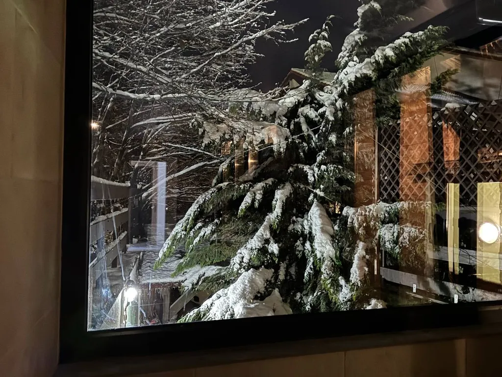 Апартаменты Woodland дизайн-оазис с двориком для 4 гостей