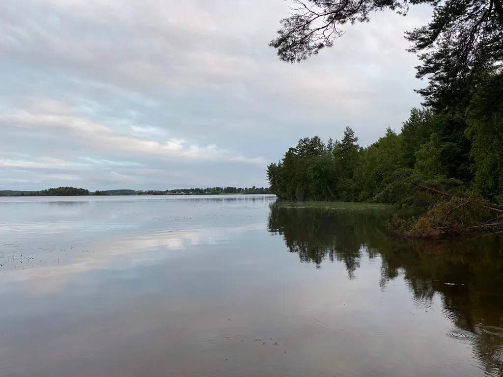 Коттедж Гостевой дом у озера в сосновом бору — Половина