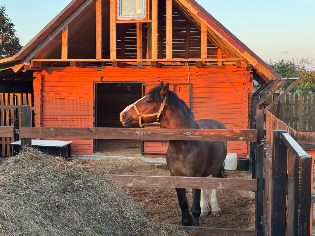 Гостевой дом с конюшней