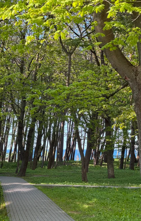 Апартаменты с видом на море