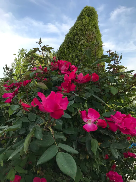 Квартира Делюкс комната с удобствами в лучшем районе Сириуса — Сириус