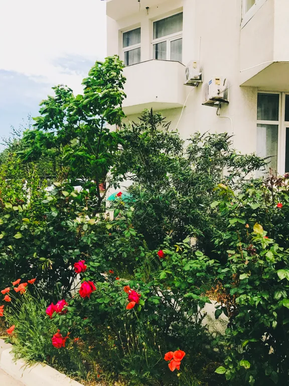 Апартаменты на берегу моря