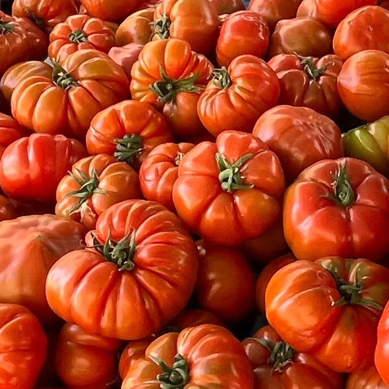 Уютная квартира у Средиземного моря