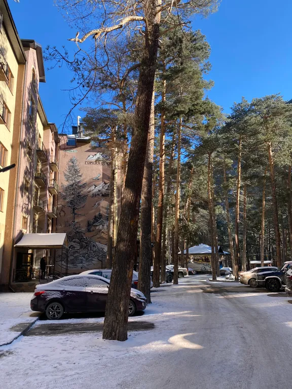 Лучший отдых в горах