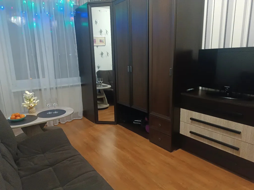 Квартира 1-комнатная квартира в самом центре города, возле Музея Мирового океана — Калининград