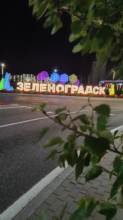 Новая уютная квартира недалеко от моря — аренда посуточно в Зеленоградск