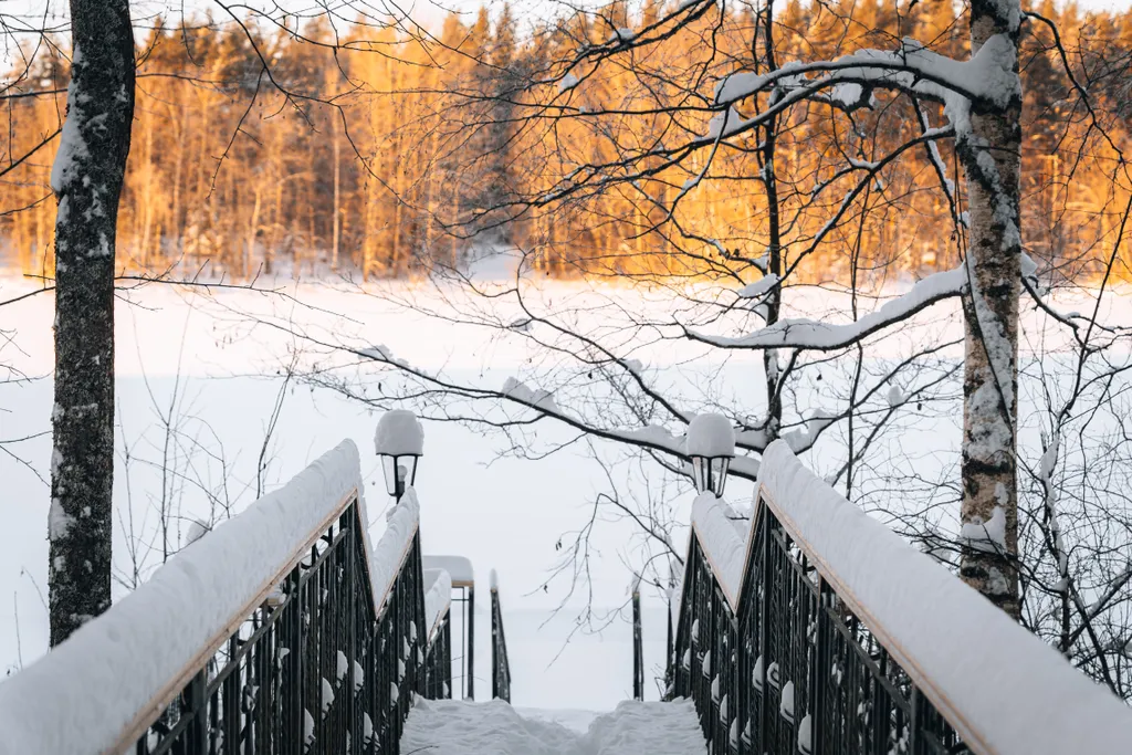 Дом с видом на лес