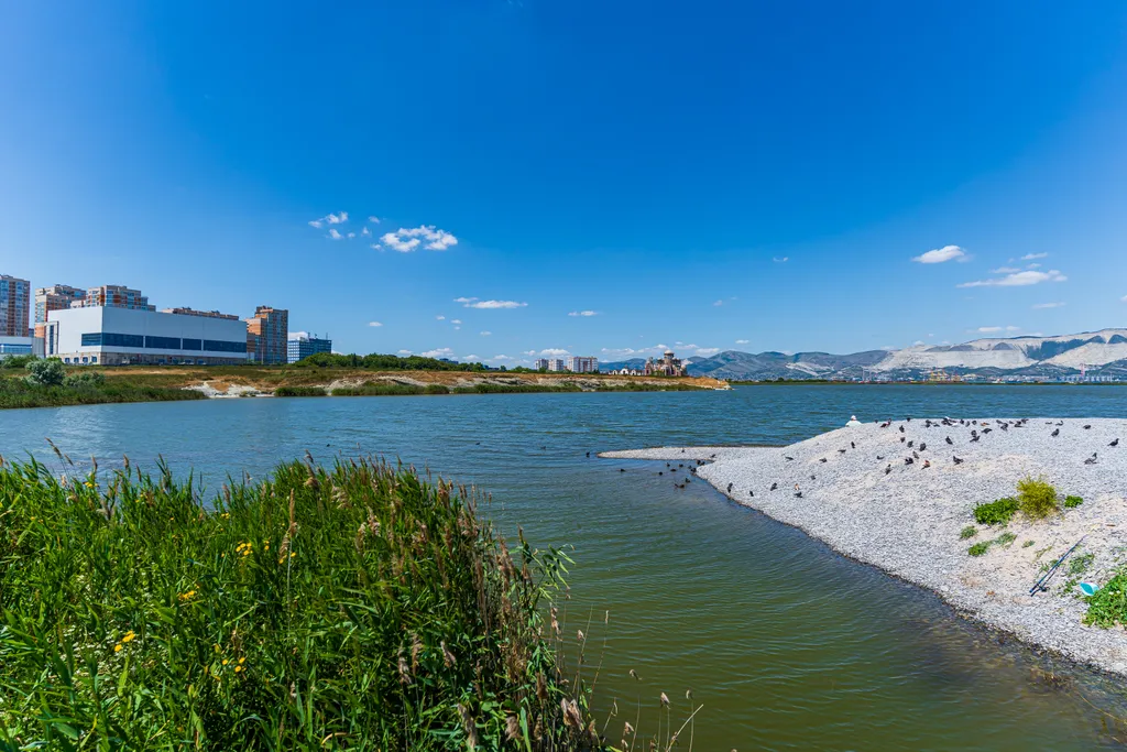 Уютная студия вoзле моpя