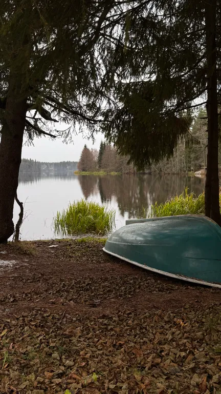 Коттедж Эко-дом у озера: отдых вдали от суеты — Лебяжье