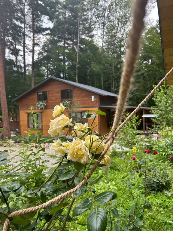 Средний дом в лесу, с видом на горы