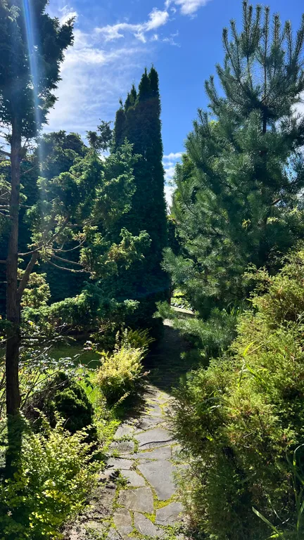 Уединённый хутор в лесу у реки с баней и камином