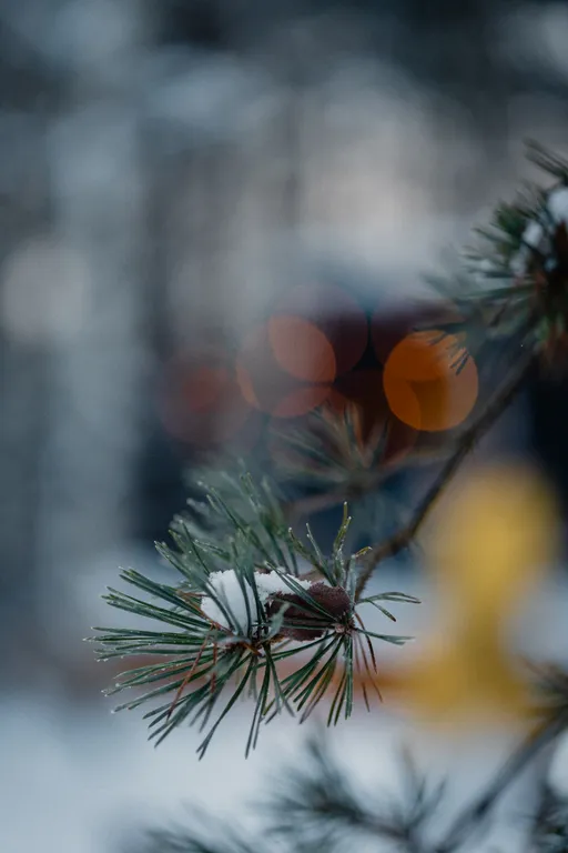 Уютный дом в лесу с панорамой и СПА комплексом