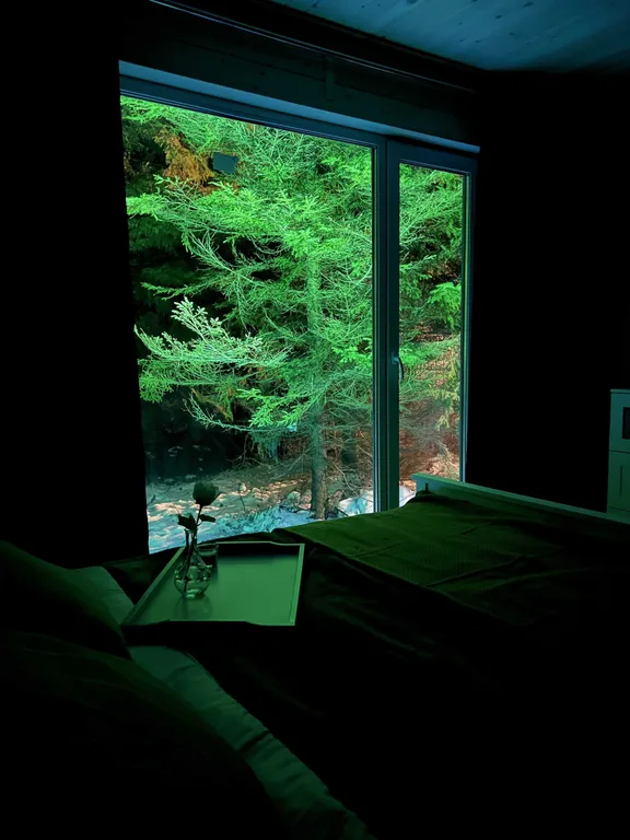 Коттедж Дом с панорамными окнами в лесу — Ломоносов