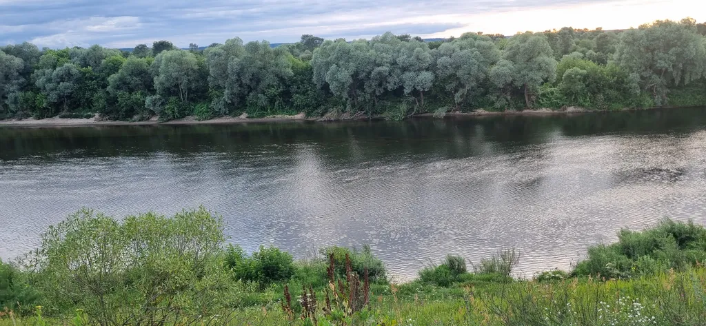 Дом-шалаш с видом на лес