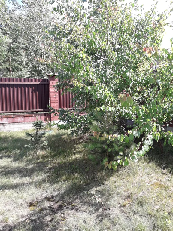 Дом в Дроздово