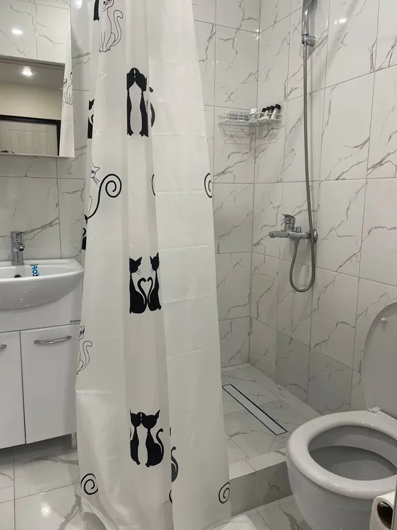 Квартира Апартаменты в центре — Адлер