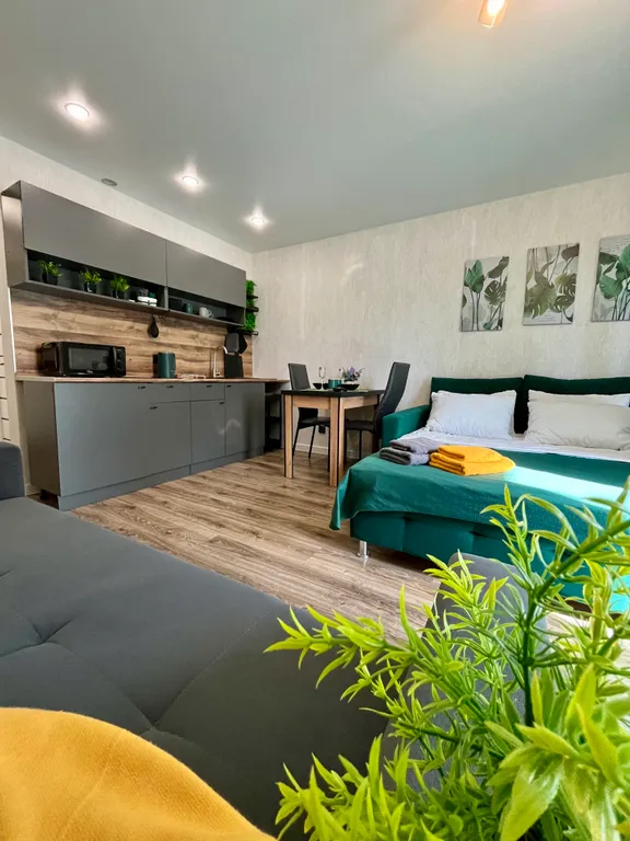 Студия до 4х гостей