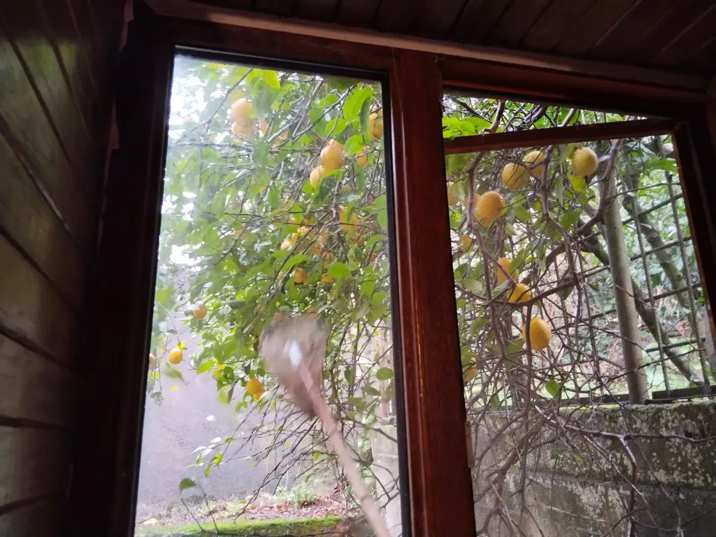 Большой семейный номер со своим санузлом и смежным номером