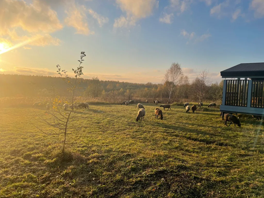 Дом из клееного бруса с панорамным видом