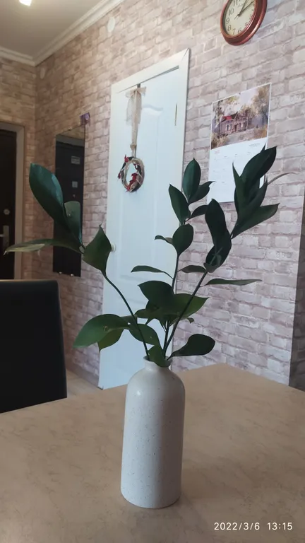 Уютная студия в центре